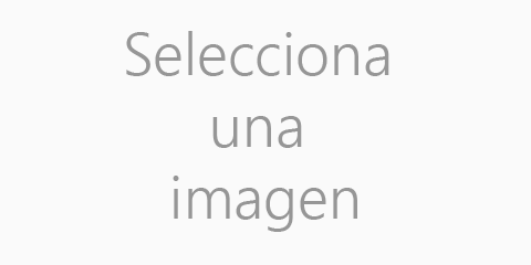 Actualizar Imagen